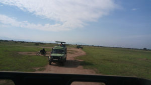 queen elizabeth national park game drive
