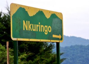 Nkuringo Family