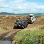 Guided Uganda Safaris
