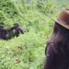 Gorilla Trekking or Gorilla Tracking: What is Right?