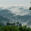 Self-Guided Tour in Bwindi Impenetrable National Park