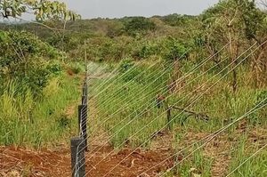 Murchison Electric Fence